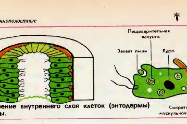 Кракен сайт krakens13 at