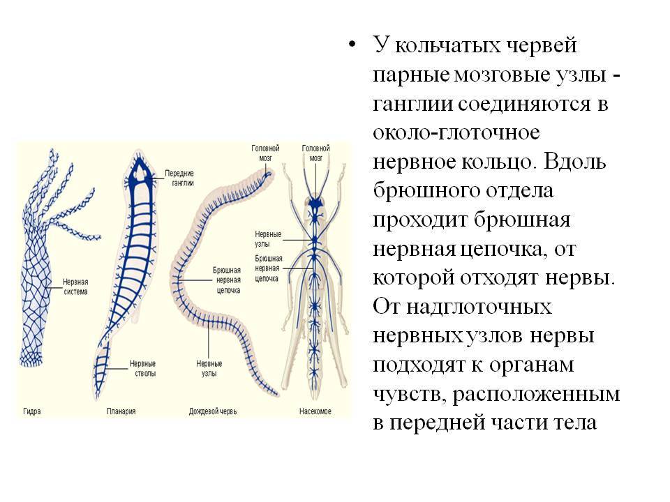 Кракен нарко шоп